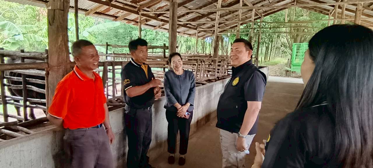 title - เลขาธิการ ส.ป.ก. ตรวจเยี่ยม ส.ป.ก.ยโสธร และลงพื้นที่ตรวจเยี่ยมกลุ่มวิสาหกิจชุมชนโคขุนหนองแหน และศูนย์ต้นแบบเกษตรทฤษฎีใหม่ในเขตปฏิรูปที่ดิน (นายสุริยา  หงษ์ลอยวงษ์) จังหวัดยโสธร